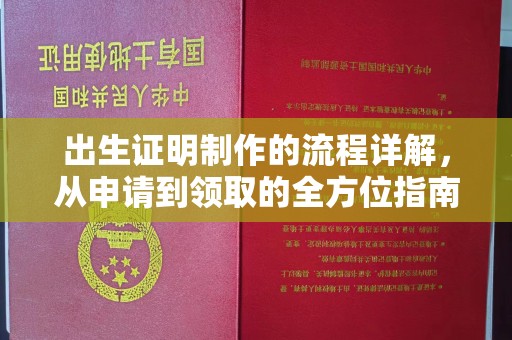 海东出生证明制作的流程详解，从申请到领取的全方位指南